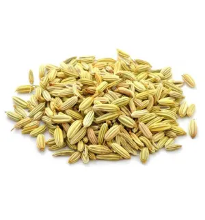 Fennel Seed Essential Oil