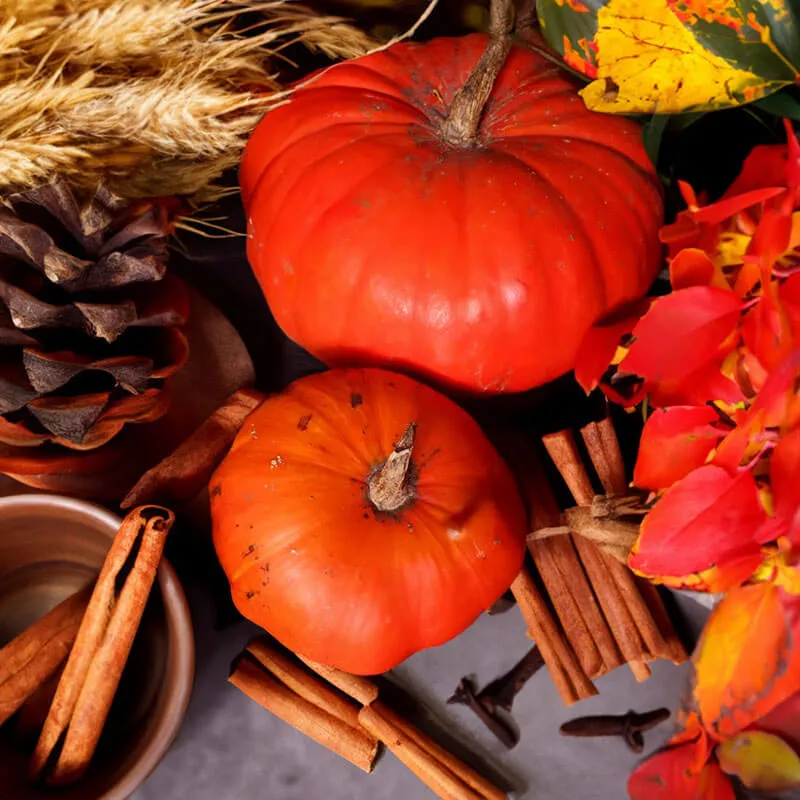 Pumpkin Spice Candle | Fall's Best Soy Wax Candle | SaFiSpa